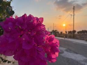 Configure Likes Example