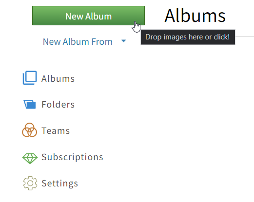 Click New Album button